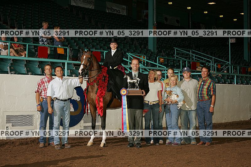 Proof Number yn_05_3291