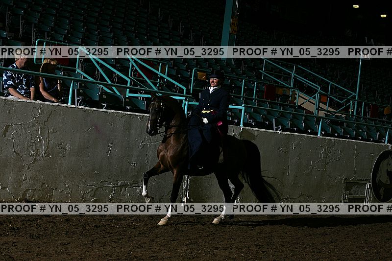 Proof Number yn_05_3295