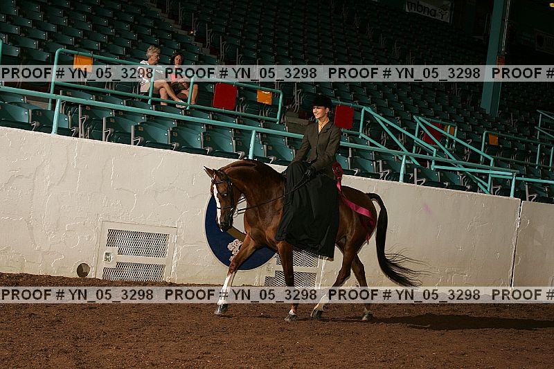 Proof Number yn_05_3298
