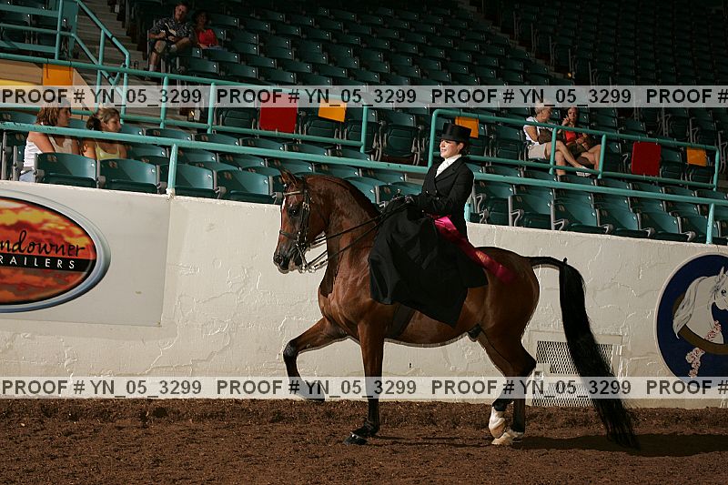Proof Number yn_05_3299