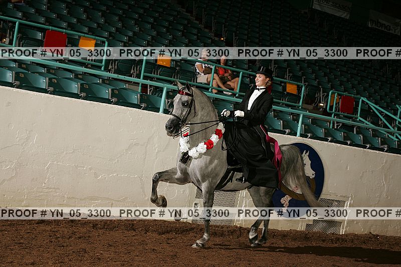 Proof Number yn_05_3300