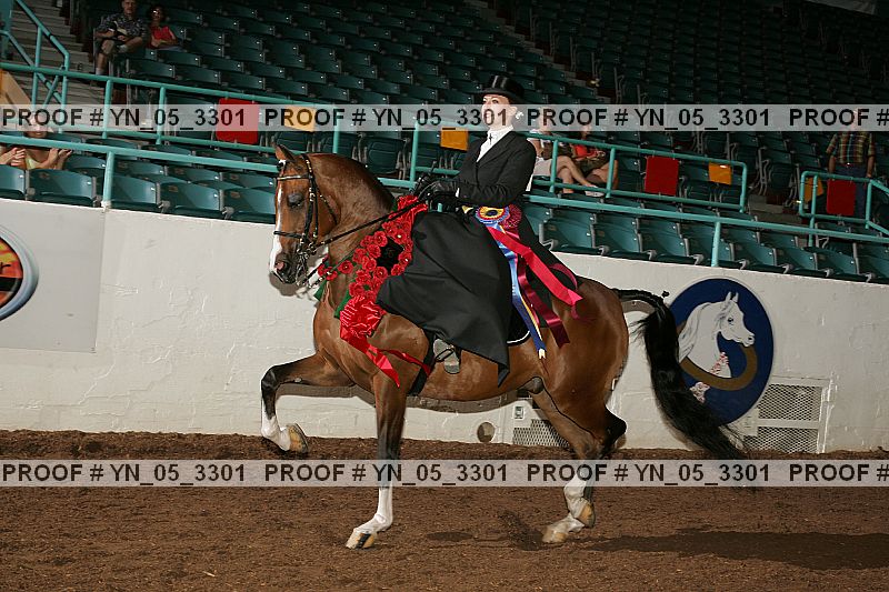 Proof Number yn_05_3301