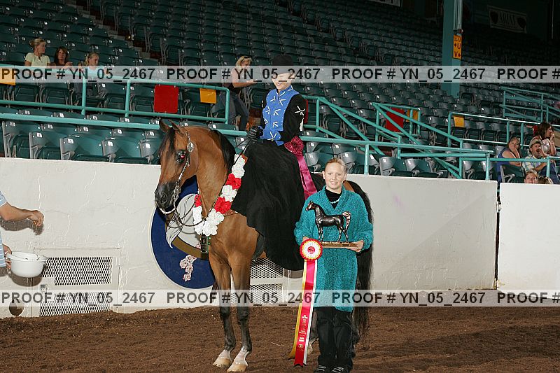 Proof Number yn_05_2467