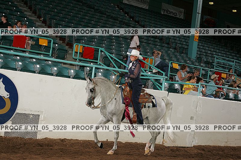 Proof Number yn_05_3928