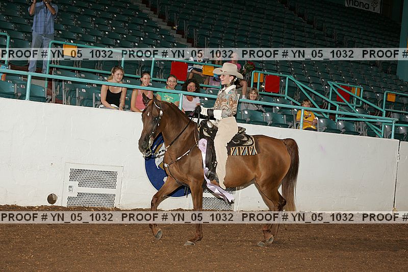 Proof Number yn_05_1032