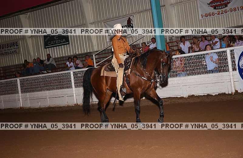 Proof Number ynha_05_3941