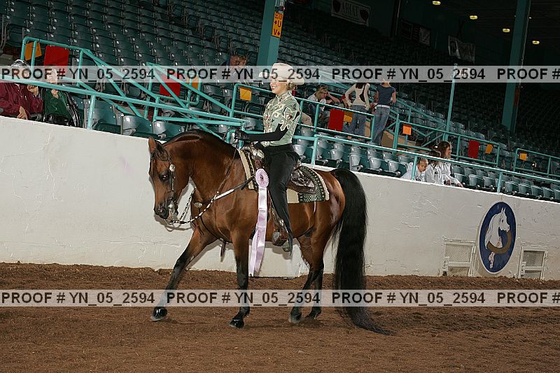 Proof Number yn_05_2594