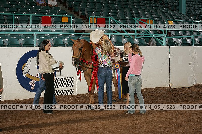 Proof Number yn_05_4523
