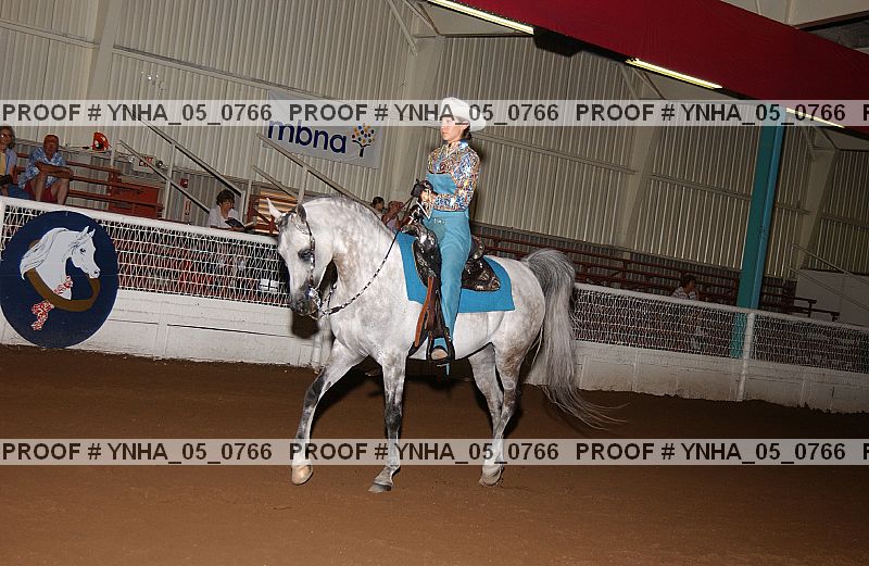 Proof Number ynha_05_0766