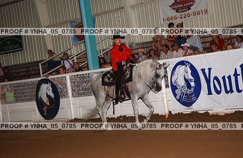 Proof Number ynha_05_0785
