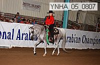 Proof Number ynha_05_0807