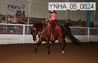 Proof Number ynha_05_0824