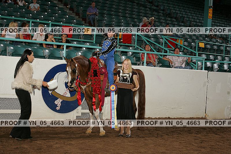Proof Number yn_05_4663