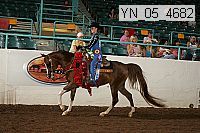 Proof Number yn_05_4682