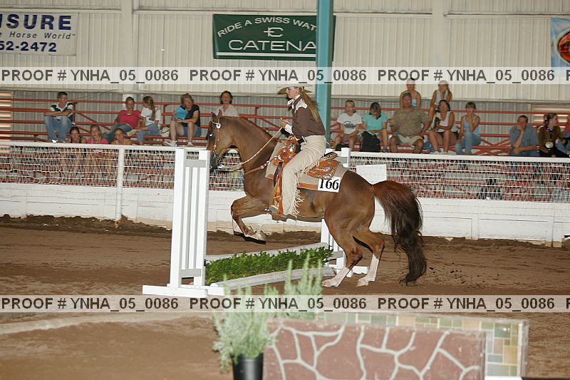 Proof Number ynha_05_0086