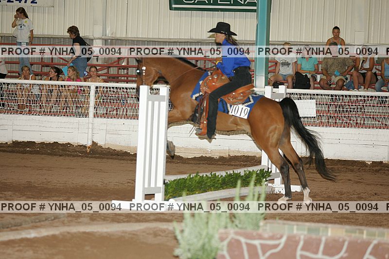 Proof Number ynha_05_0094