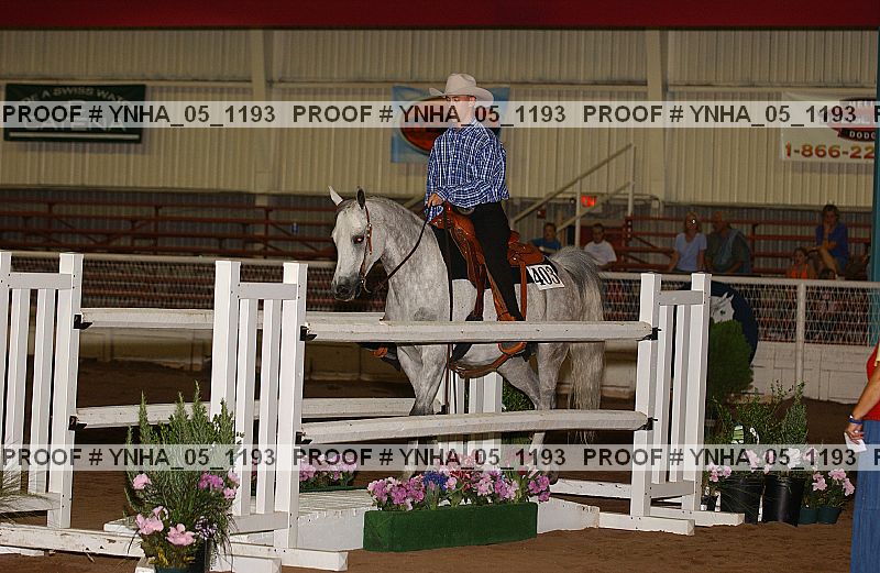 Proof Number ynha_05_1193