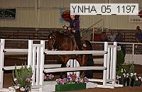 Proof Number ynha_05_1196