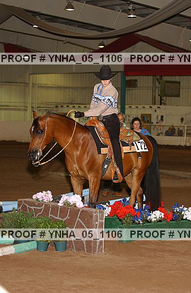Proof Number ynha_05_1106