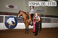 Proof Number ynha_05_1116