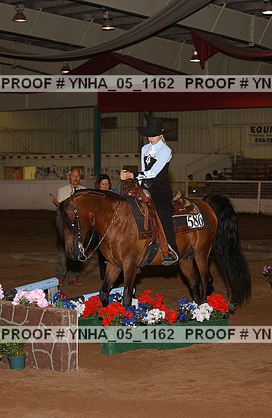 Proof Number ynha_05_1162