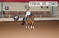 Proof Number ynha_05_2341