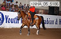 Proof Number ynha_05_5186
