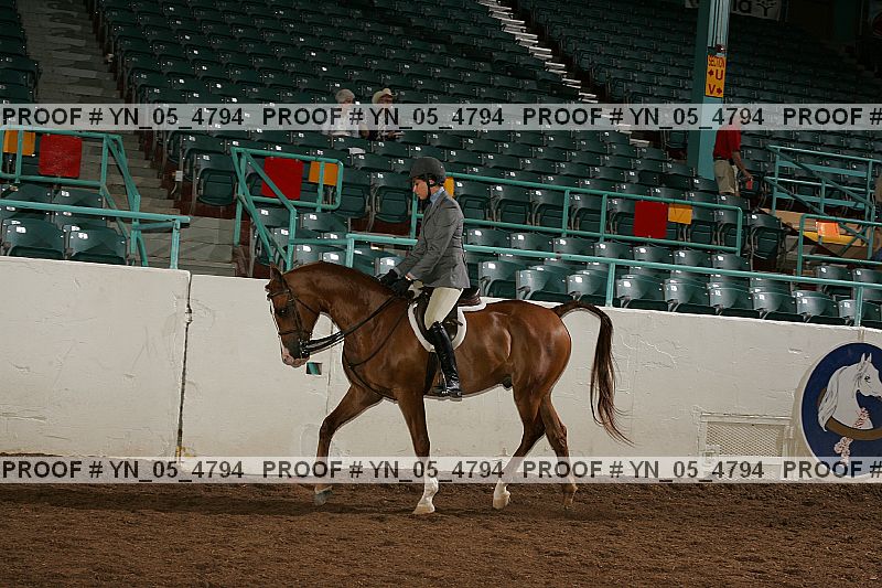Proof Number yn_05_4794