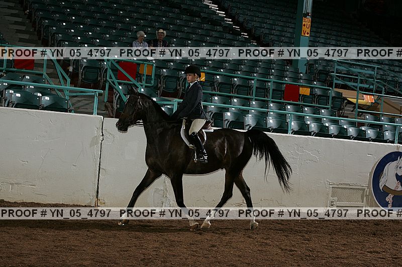 Proof Number yn_05_4797