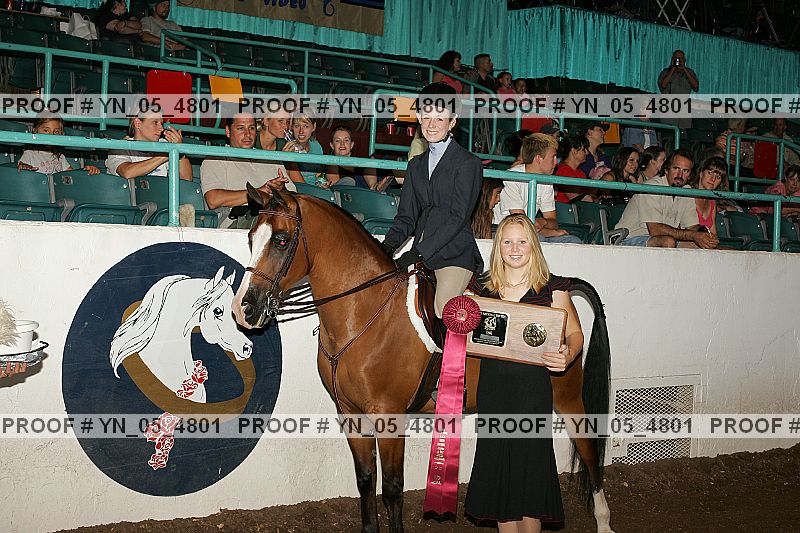 Proof Number yn_05_4801
