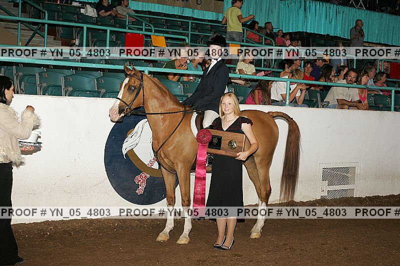 Proof Number yn_05_4803