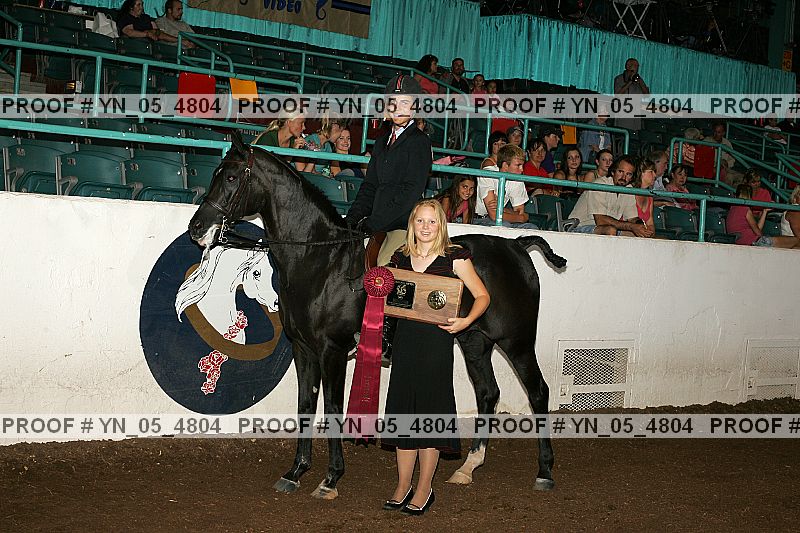 Proof Number yn_05_4804