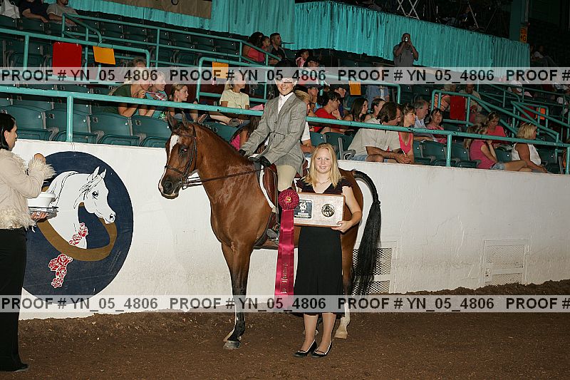 Proof Number yn_05_4806