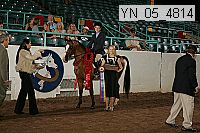 Proof Number yn_05_4814