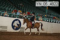 yn_05_4822 thumbnail