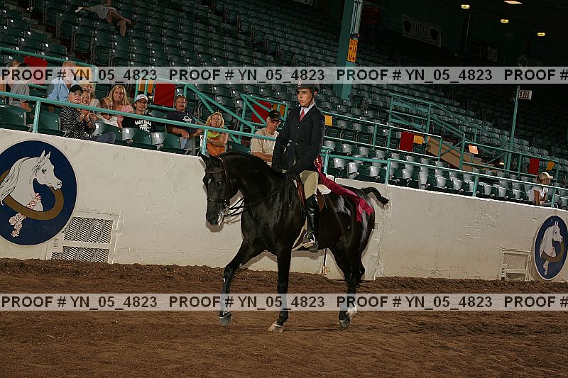 Proof Number yn_05_4823