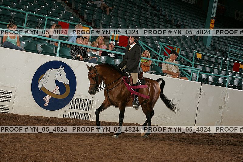 Proof Number yn_05_4824