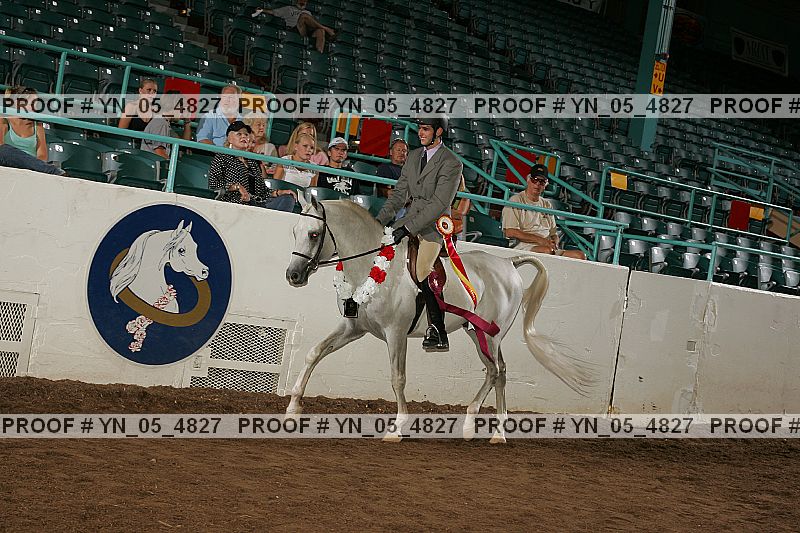 Proof Number yn_05_4827