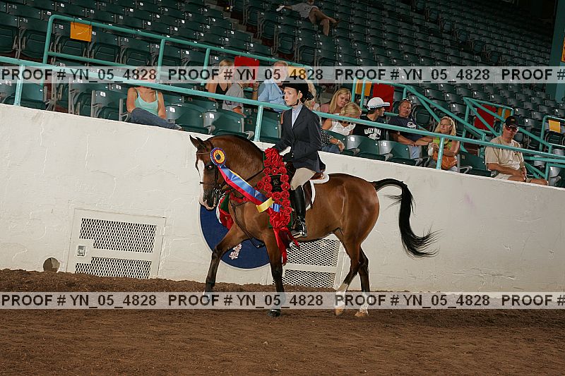 Proof Number yn_05_4828