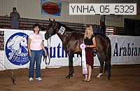 Proof Number ynha_05_5329