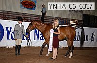 Proof Number ynha_05_5337