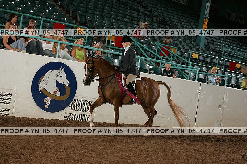 Proof Number yn_05_4747
