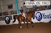 Proof Number ynha_05_1952