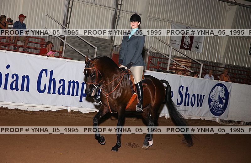 Proof Number ynha_05_1995