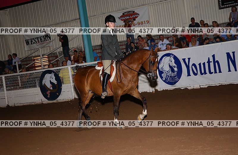 Proof Number ynha_05_4377