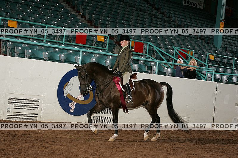Proof Number yn_05_3497