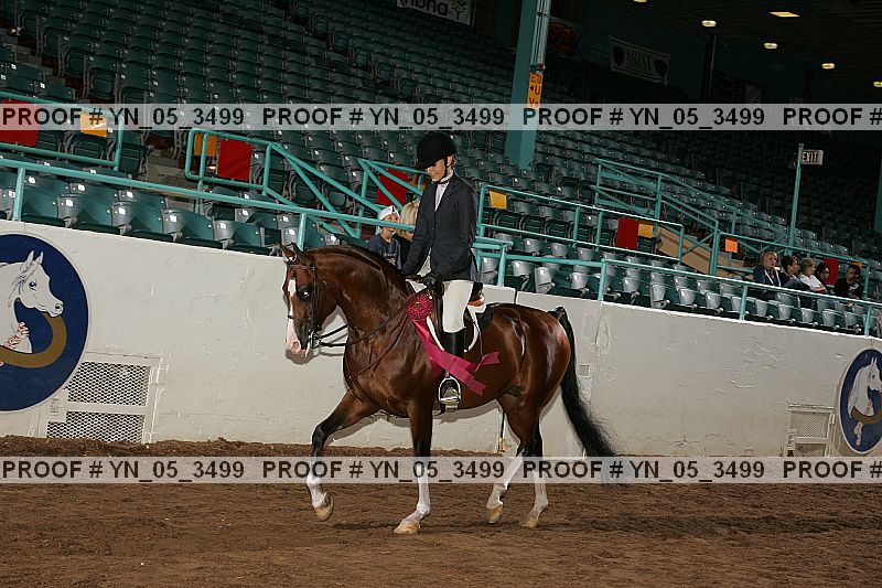 Proof Number yn_05_3499