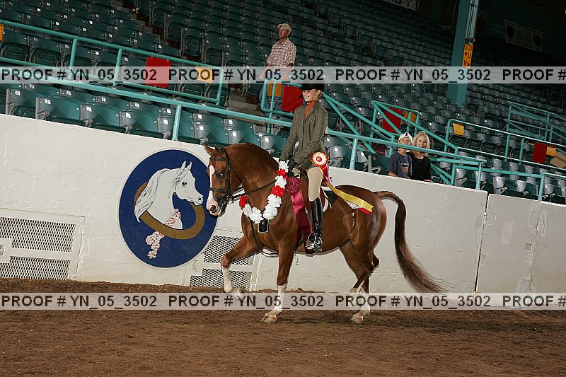 Proof Number yn_05_3502