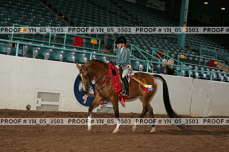 Proof Number yn_05_3503