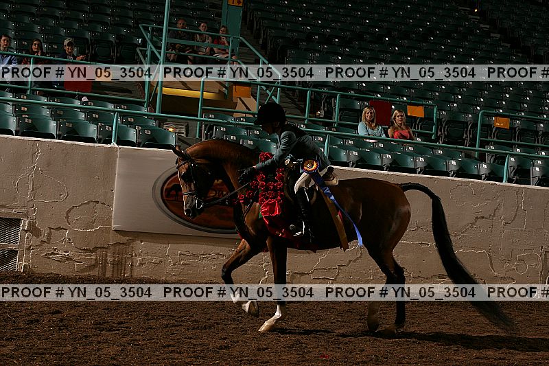 Proof Number yn_05_3504
